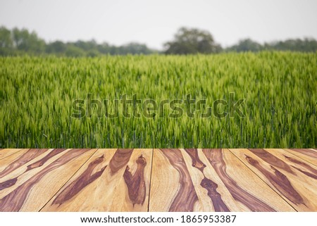 empty space wooden board for product display with blurred picture of beautiful nature in background
