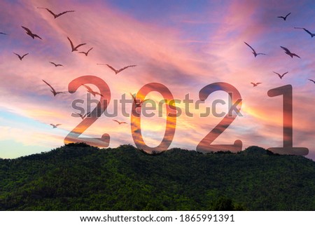 Silhouette with number text transparent over cotton candy sky of Happy New Year 2021 concept with nature forest mountain over the clouds in the color abstract background