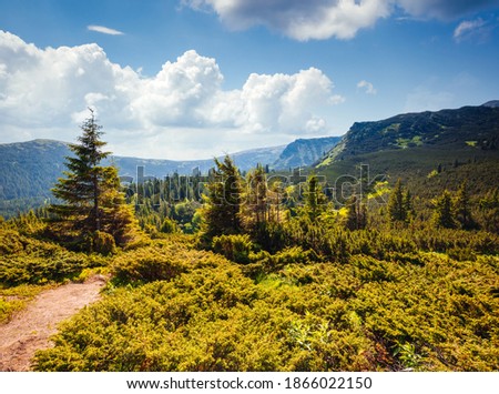 Sunny mountain landscape in summer day. Location place of Carpathian mountains, Ukraine, Europe. Vibrant photo wallpaper. Breathtaking nature photography. Discover the beauty of earth.