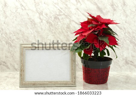Box with blank card on marble table next to pot with poinsettia
