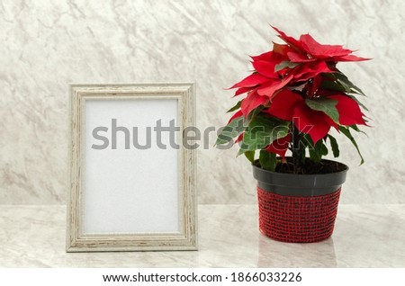 Box with blank card on marble table next to pot with poinsettia
