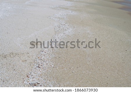 Beige fawn brown beautiful nature background design screensaver web wallpaper for resort spa relax. A lot small starfish seashell ocean biomes placed spawn on beach sea sand surface. Copy space