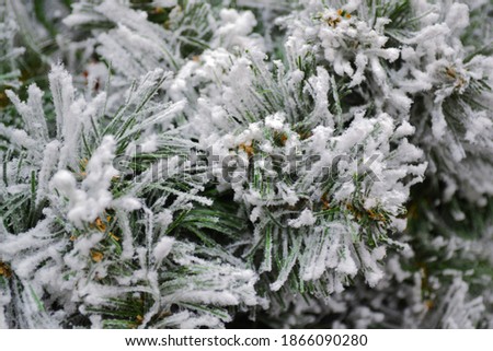 Close-up of artificial white Christmas tree, branches look like  covered with snow frost. Tender Christmas holiday background 