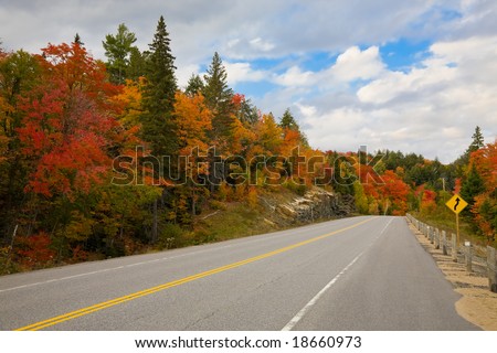Empty road in the forest, early fall