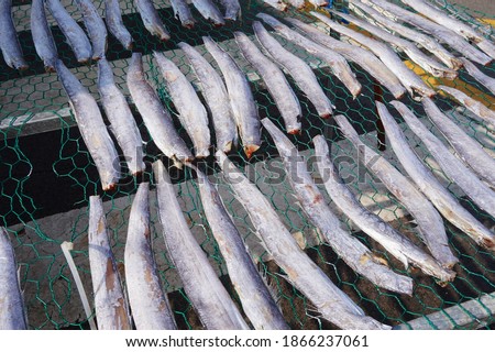 Cutlassfish Stock Photos And Images Avopix Com