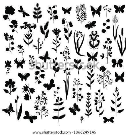 Big set of black silhouettes of flowers, branches, leafs, other plant elements and butterflies isolated on white.