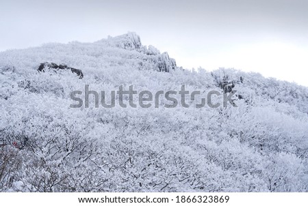 Snow covered Seoseokdae Rock of Mudeungsan National Park near Gwangju, South Korea