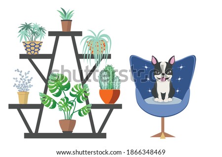 Simple room design with Boston terrier, art chair and house plants illustration.