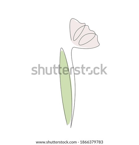 Flower drawing on white background. Vector illustration
