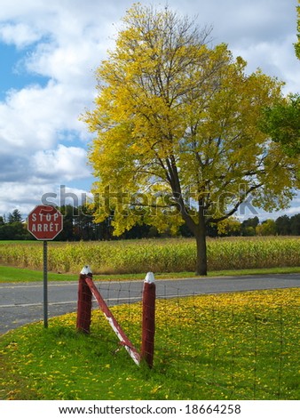 Stop sign on the country road