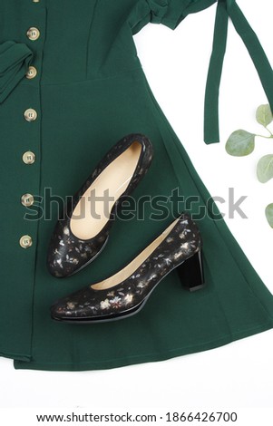 A beautiful classic fitted dress with buttons and classic office shoes with a floral pattern. Clothing and shoes on a white background.