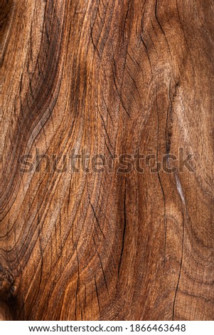 Wooden trunk smoothly varnished and with a beautiful relief. Royalty-Free Stock Photo #1866463648