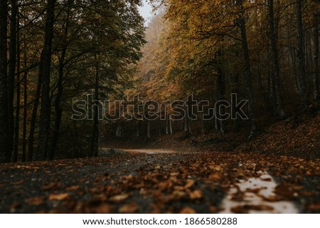 Images of autumn in northern Spain Royalty-Free Stock Photo #1866580288