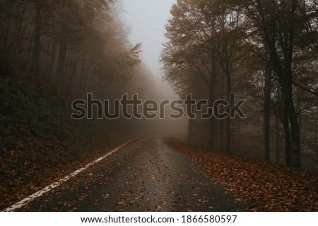 Images of autumn in northern Spain Royalty-Free Stock Photo #1866580597