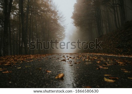 Images of autumn in northern Spain Royalty-Free Stock Photo #1866580630