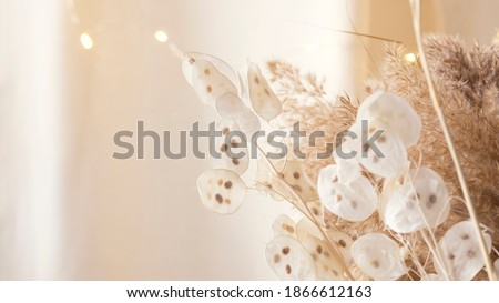 Pampas grass and lunaria are collected in a bouquet for room decor. Bouquet of dried flowers. Floral minimal home interior boho style. Boho style holiday photo zone decor. Selective focus. Peach Fuzz Royalty-Free Stock Photo #1866612163