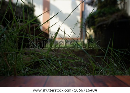 Brown red wooden plank with grass background.
