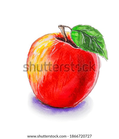 Apple on a white background. watercolor. isolate