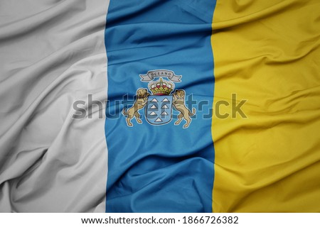 waving colorful national flag of canary islands. macro shot