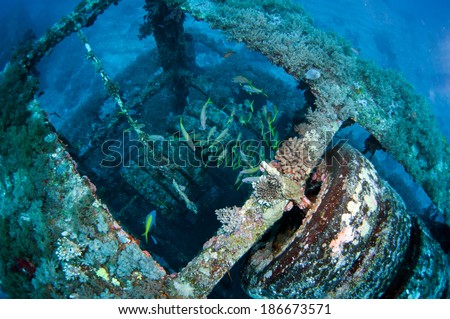 Underwater scene with steel artificial reef, Green Island, Taiwan. Royalty-Free Stock Photo #186673571