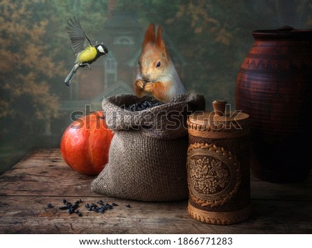 Still life with sac of sunflower seeds and squirrel