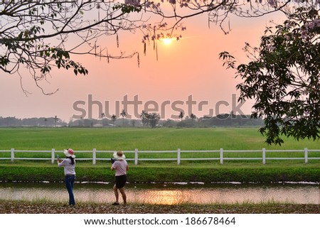 The green farm with sunset.