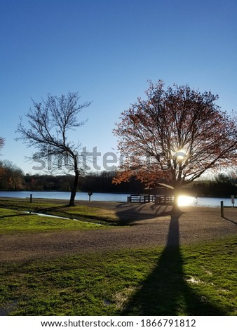 Sunrise at park lake frame by trees