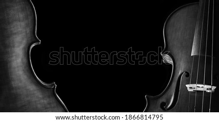 music concept. violins on a black background. violin body front and back. black and white. copy space