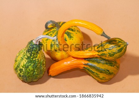 Orange pumpkins on a light paper background, fruits of a fancy curved shape, decorative pumpkins.
