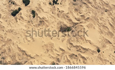 Aerial View of the Textures and Patterns of the Desert Sands. Beautiful landscape . Desert and green bushes