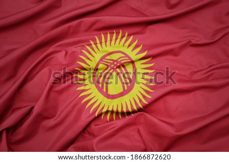 waving colorful national flag of kyrgyzstan. macro shot