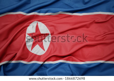 waving colorful national flag of north korea. macro shot