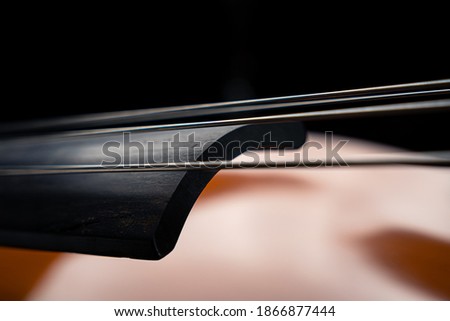 Double bass strings closeup at the end of the fretboard Royalty-Free Stock Photo #1866877444