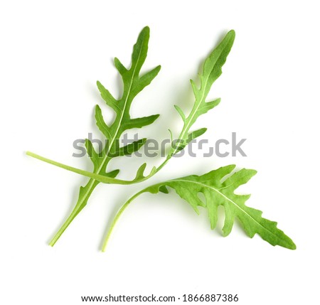 fresh green arugula leaves isolated on white background, top view Royalty-Free Stock Photo #1866887386