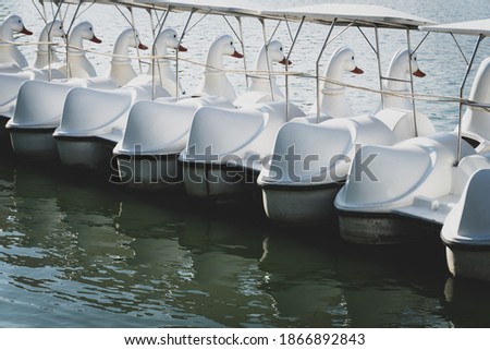 Swan Boats Float Parking In The Lake of Public Park.