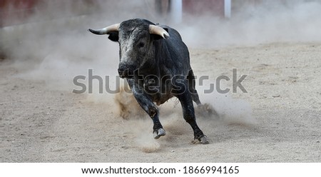 A powerful bull on the spanish spectacle of bullfight Royalty-Free Stock Photo #1866994165