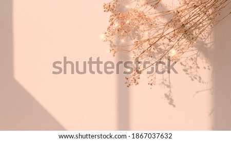 Dried flower window shadow floral image background