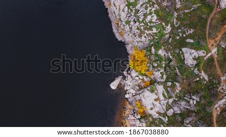 Aerial view of a forest and river. Aerial view of blue lake with yellow autumn tree. Drone photography. Rocks and river border, image from above. Coastline view from the drone.