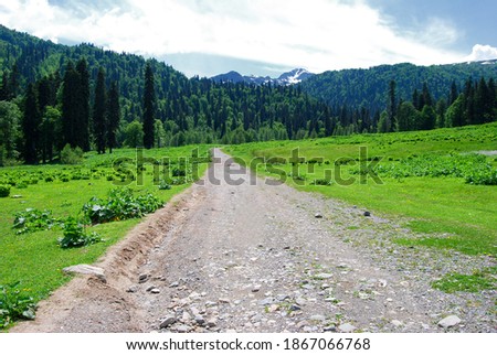 Abkhazia. Alpine meadows. Road in the mountains. Road in the high-mountain meadows of Abkhazia.