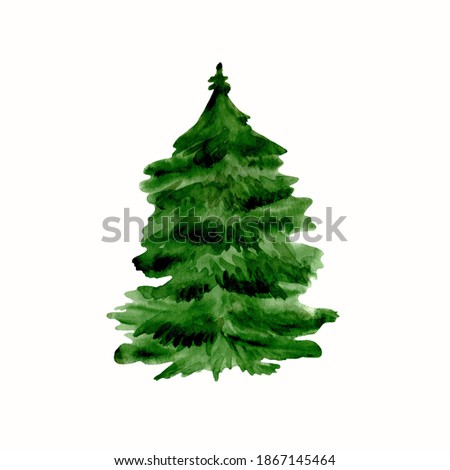 Watercolor hand painted illustration of fir-tree. Perfect for card making, scrapbooking.