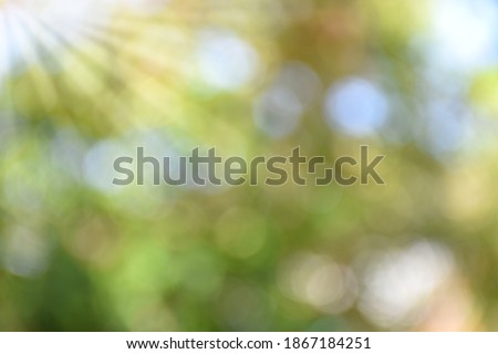 Bokeh green leaves nature for abstract background 