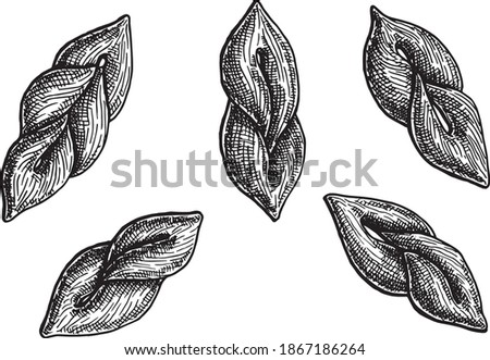 Hand drawn black and white crosshatch vector illustration of five different orientations and variants of Klejner, fried twists. No background. Royalty-Free Stock Photo #1867186264