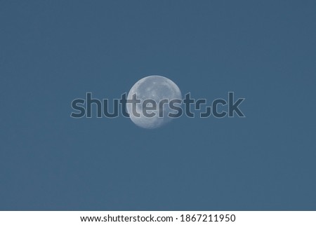 Moon close-up in the morning in a blue sky, isolated
