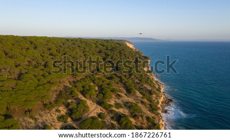 La Breña pine forest over the cliffs of Bartbate in south Spain