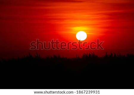 The beautiful of sunset isolation background, Cambodia