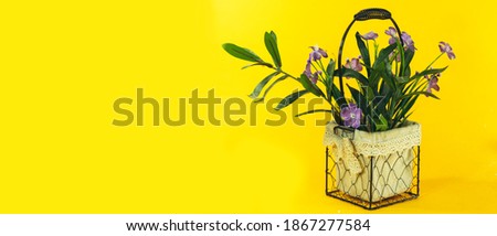 beautiful artificial purple flowers vase isolated on yellow background