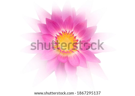 Blurred for Background.Beautiful Pink Lotus as background picture.