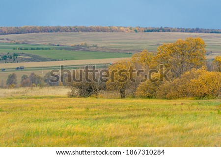scenery photography. Beautiful sunset, trees in the autumn forest, bright landscape, landscape in the autumn season.