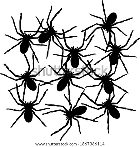 Set of black silhouette spider icon isolated on white background. Top,side and front view