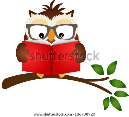 Owl reading a book on tree branch
